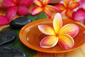Frangipani in Water Bowl